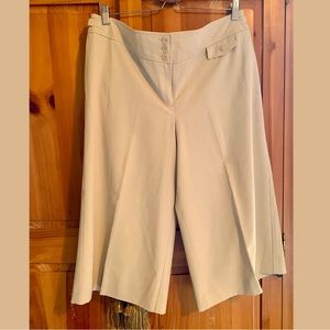 Ann Taylor Wide Leg Gaucho Pants